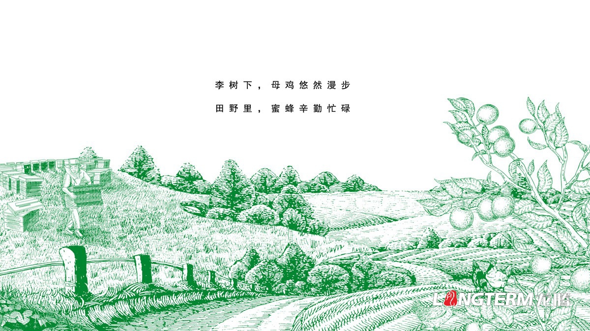 达州市大竹县李子园水果包装箱设计公司_李子礼盒彩箱手绘原创设计效果图